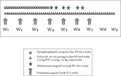 Metronomic Four-Drug Regimen Has Anti-tumor Activity in Pediatric Low-Grade Glioma; The Results of a Phase II Clinical Trial